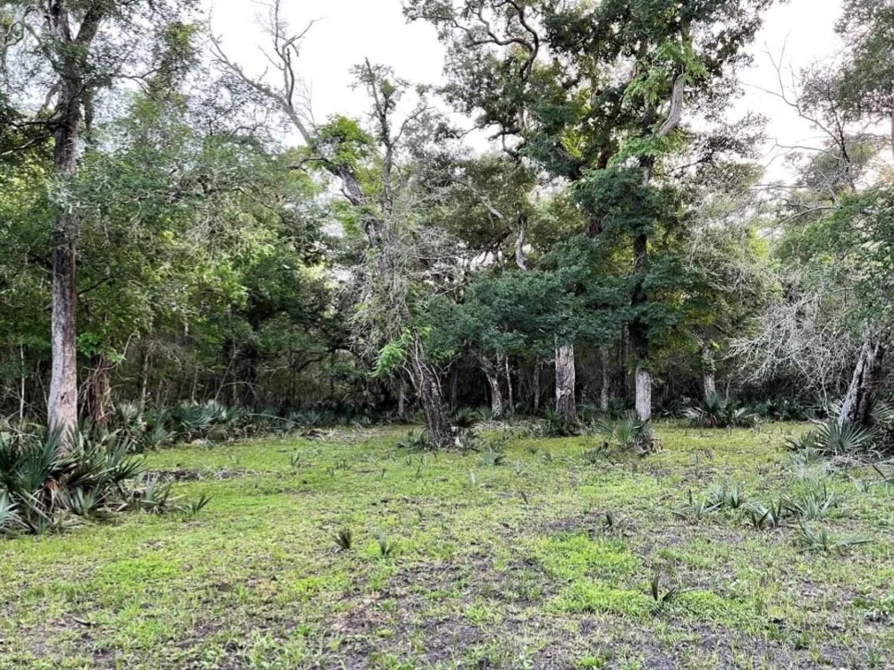 8178 Cr-860 Sweeny, TX 77480