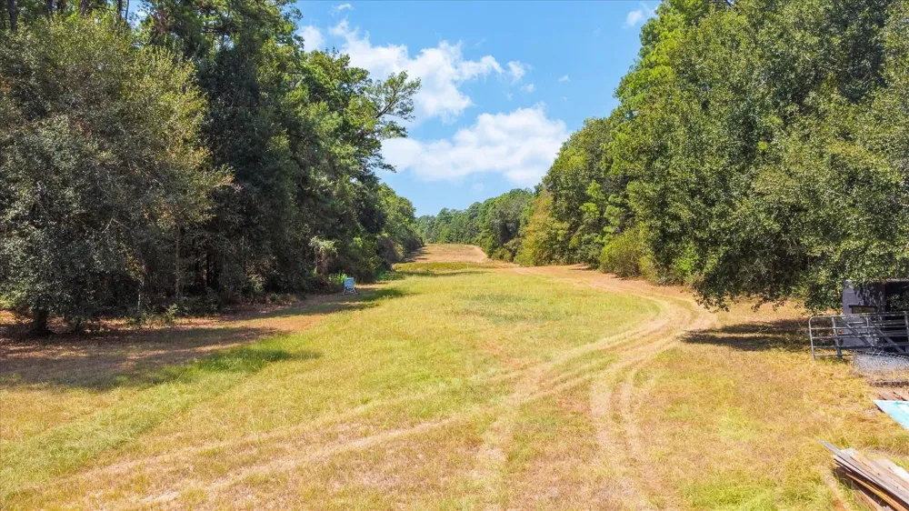 1237 Pruitt Road Spring, TX 77380