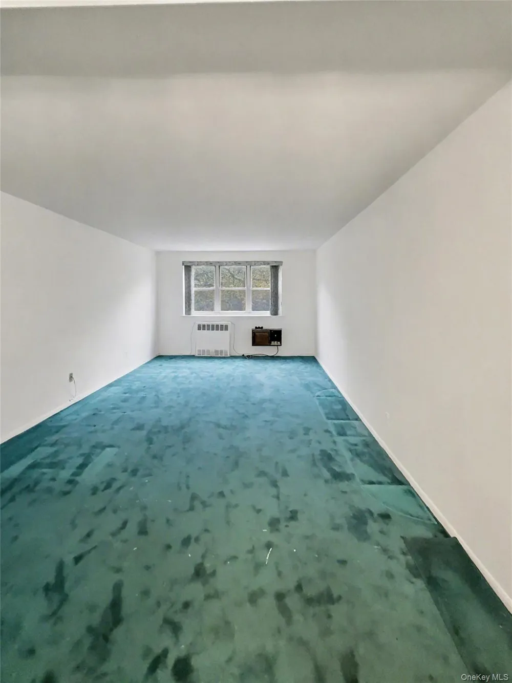 88-08 151 Ave #3H Lindenwood, NY 11414