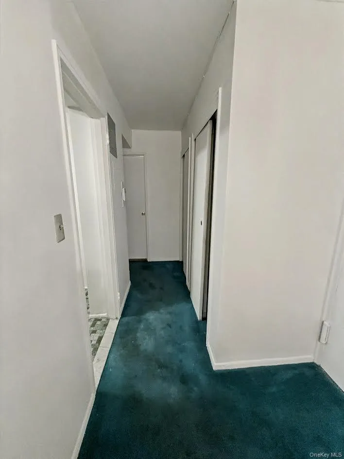 88-08 151 Ave #3H Lindenwood, NY 11414