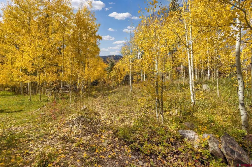 7 Silverglance Way Rico, CO 81332