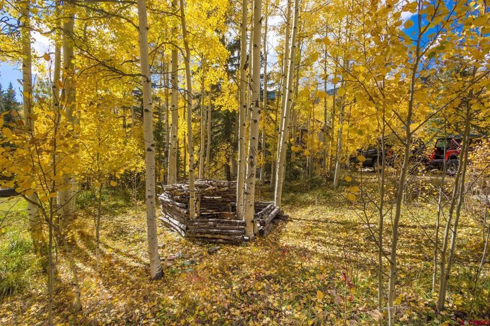 7 Silverglance Way Rico, CO 81332