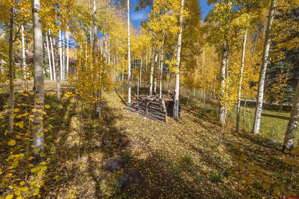 7 Silverglance Way Rico, CO 81332