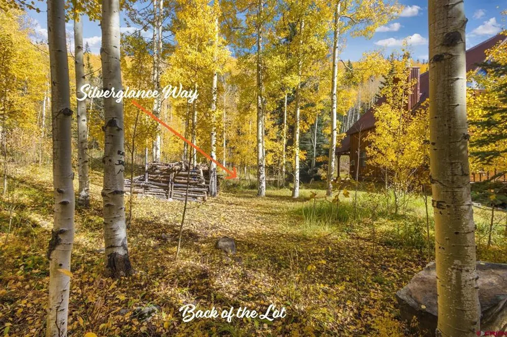 7 Silverglance Way Rico, CO 81332