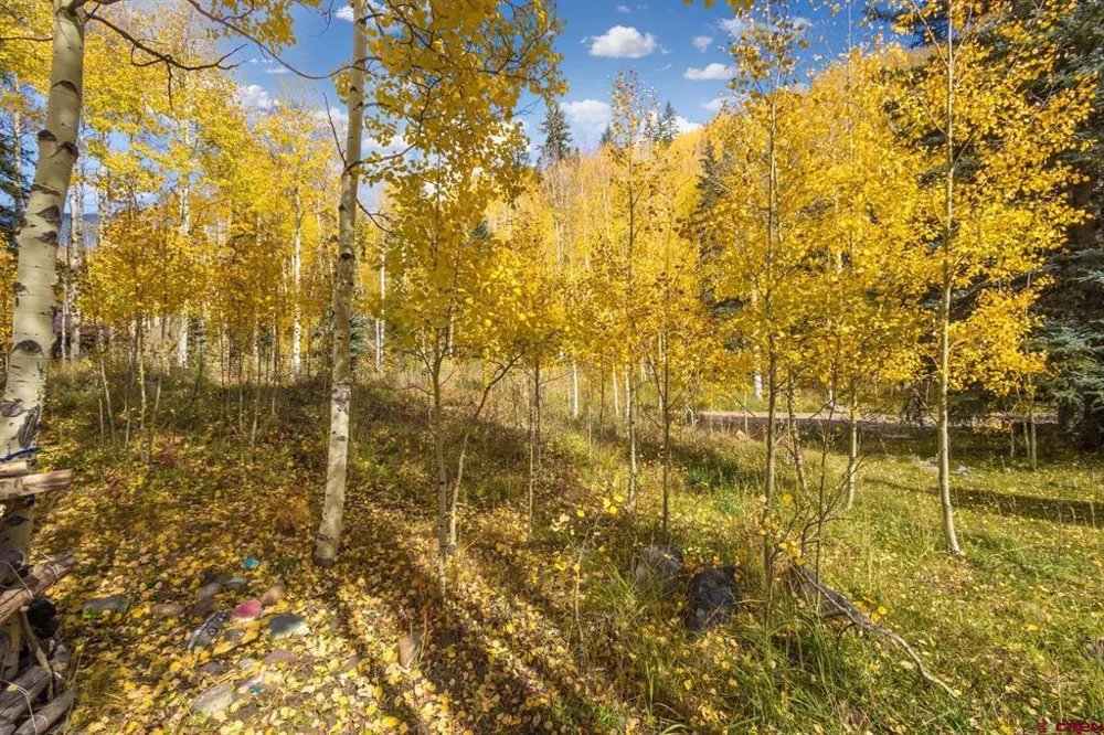 7 Silverglance Way Rico, CO 81332