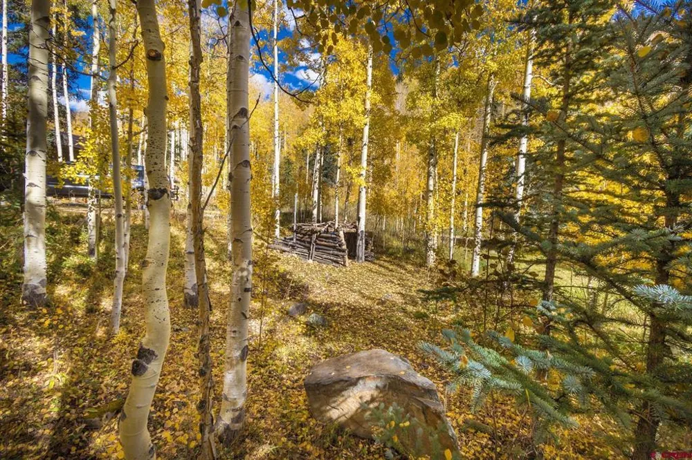 7 Silverglance Way Rico, CO 81332
