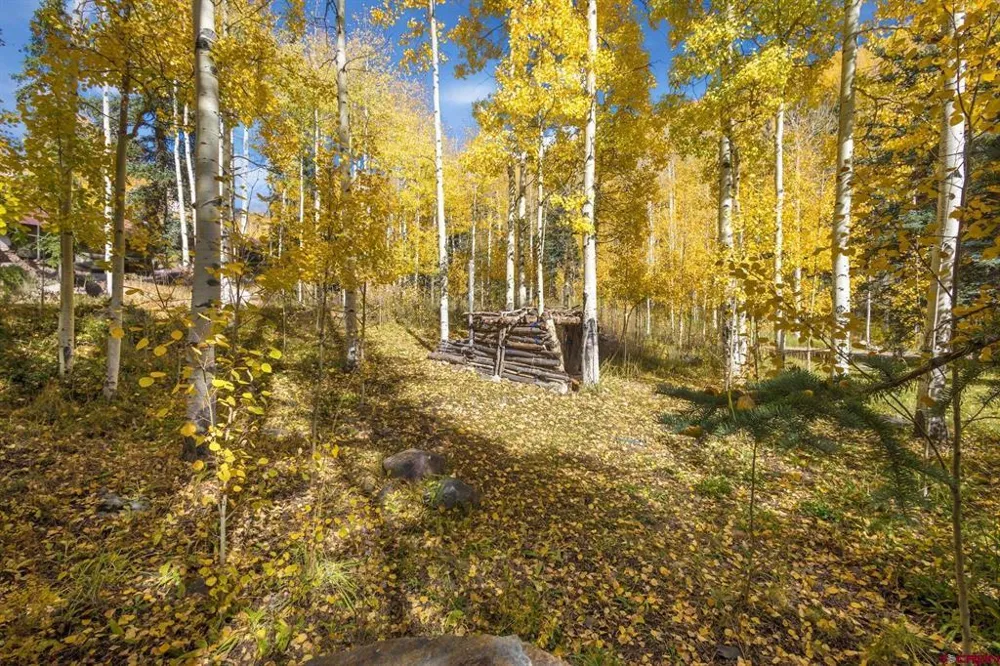7 Silverglance Way Rico, CO 81332