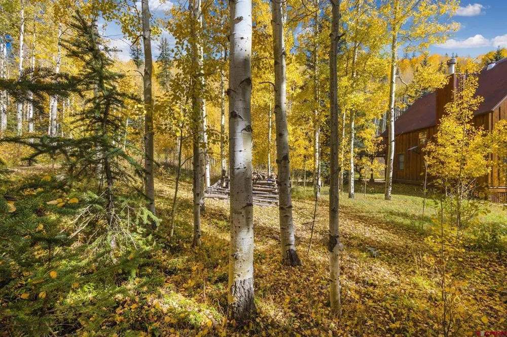 7 Silverglance Way Rico, CO 81332