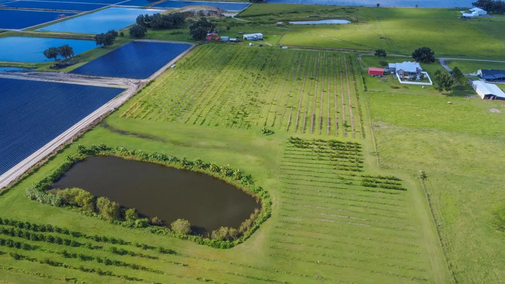 BLANTON ACRES ROAD Plant City, FL 33565