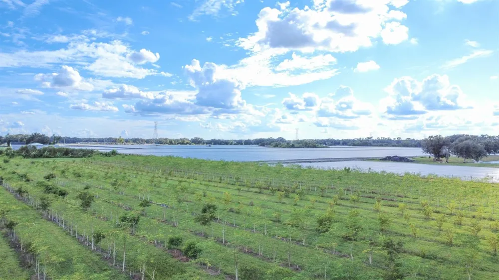 BLANTON ACRES ROAD Plant City, FL 33565