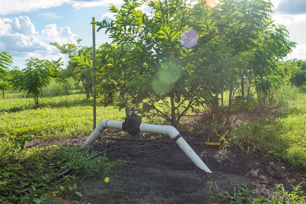 BLANTON ACRES ROAD Plant City, FL 33565