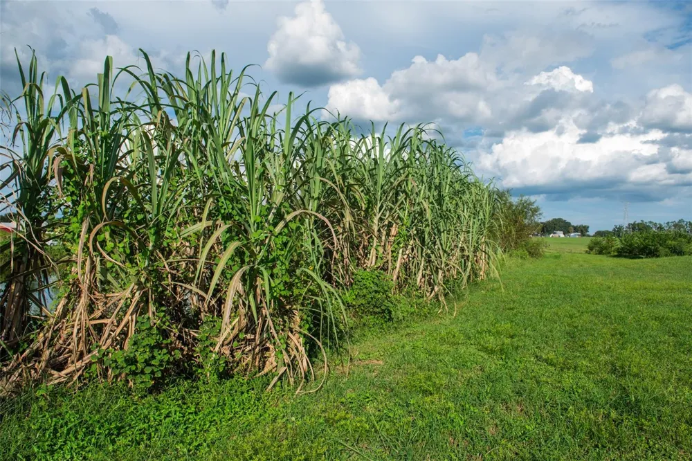 BLANTON ACRES ROAD Plant City, FL 33565