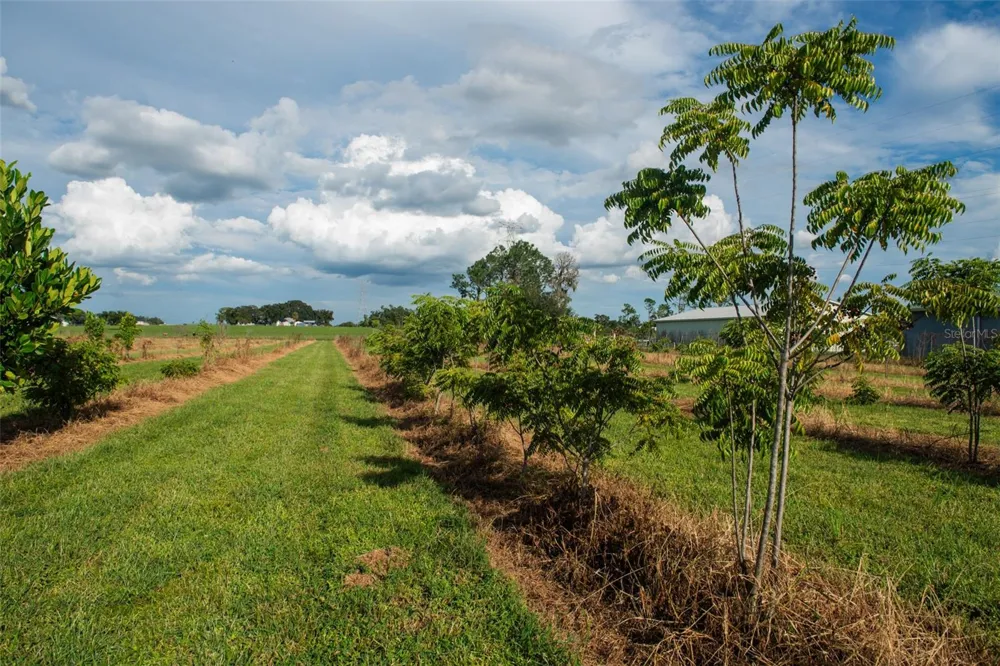 BLANTON ACRES ROAD Plant City, FL 33565