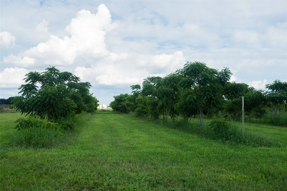 BLANTON ACRES ROAD Plant City, FL 33565