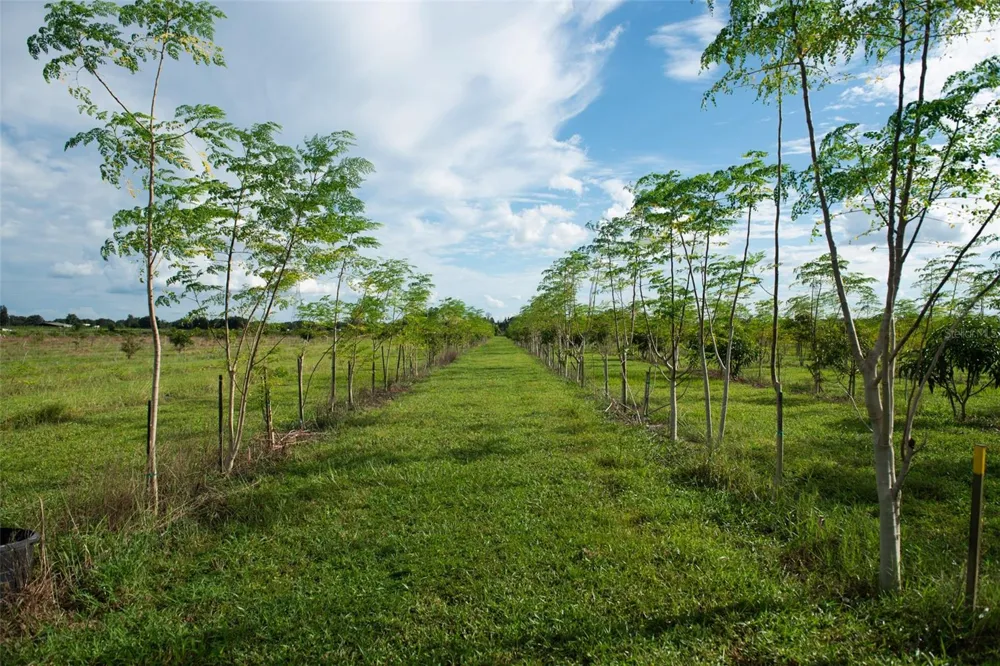 BLANTON ACRES ROAD Plant City, FL 33565