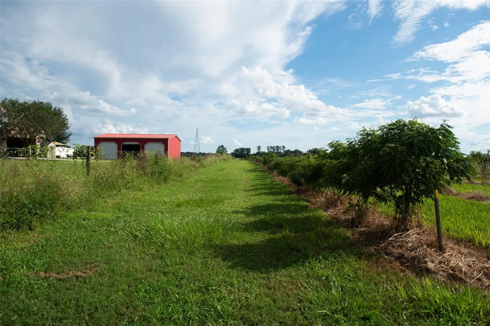 BLANTON ACRES ROAD Plant City, FL 33565