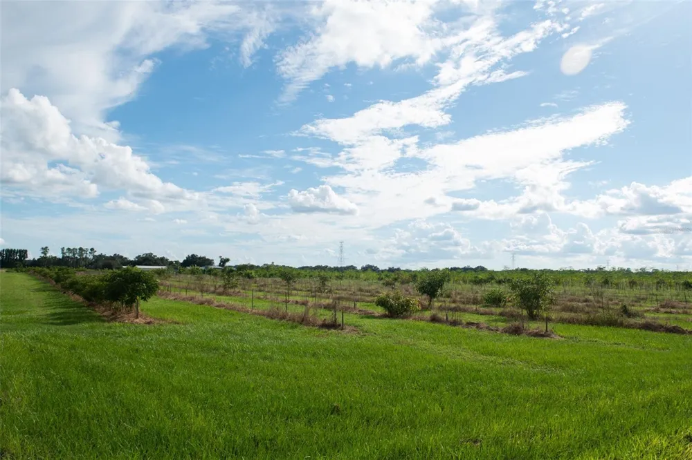 BLANTON ACRES ROAD Plant City, FL 33565