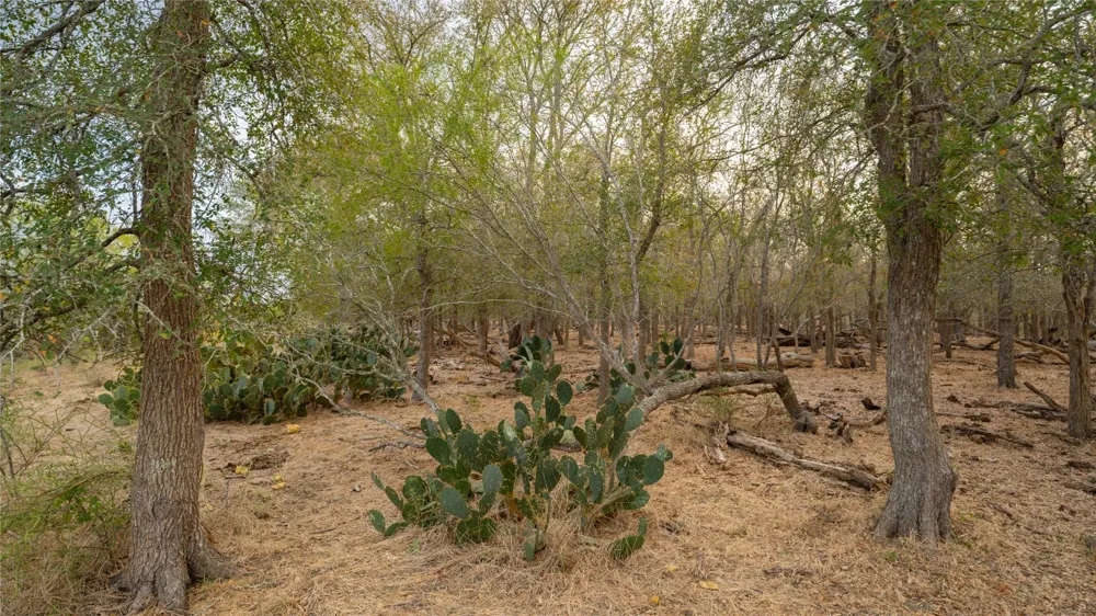 3980 Fm 3158 Dale, TX 78616