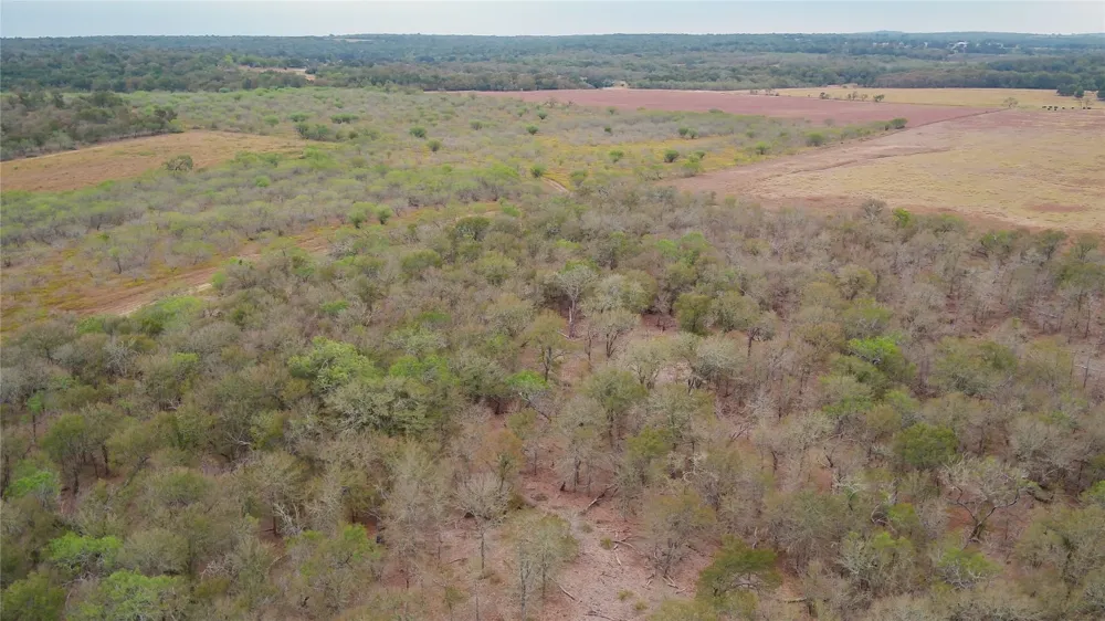3980 Fm 3158 Dale, TX 78616