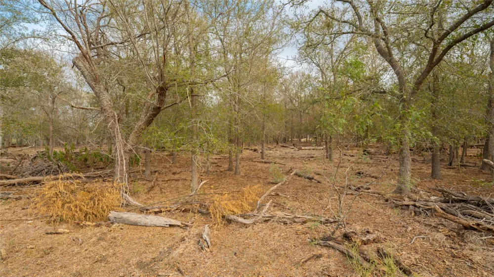 3980 Fm 3158 Dale, TX 78616