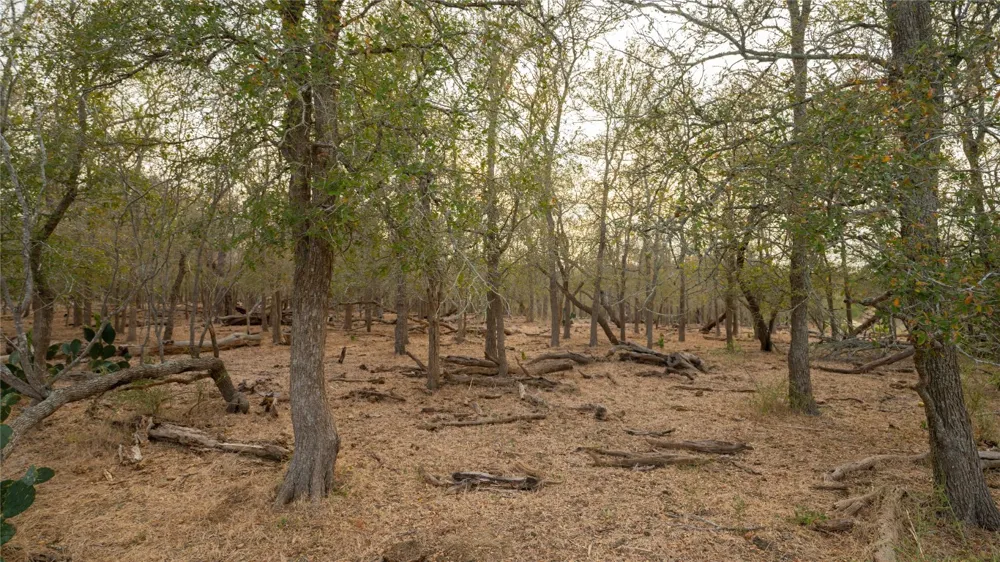 3980 Fm 3158 Dale, TX 78616