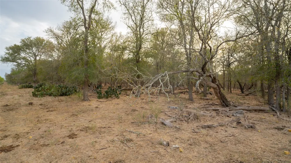 3980 Fm 3158 Dale, TX 78616