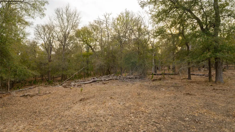 3980 Fm 3158 Dale, TX 78616