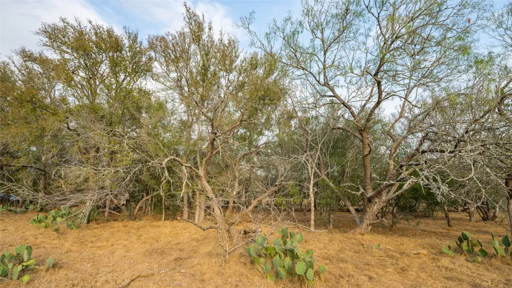3980 Fm 3158 Dale, TX 78616