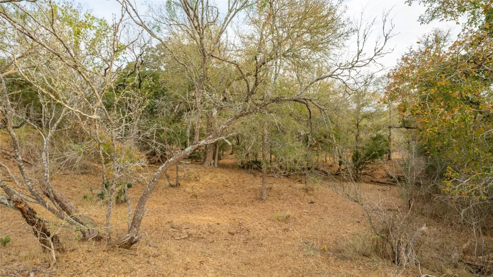 3980 Fm 3158 Dale, TX 78616