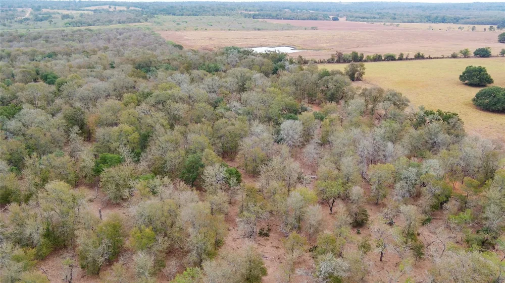 3980 Fm 3158 Dale, TX 78616