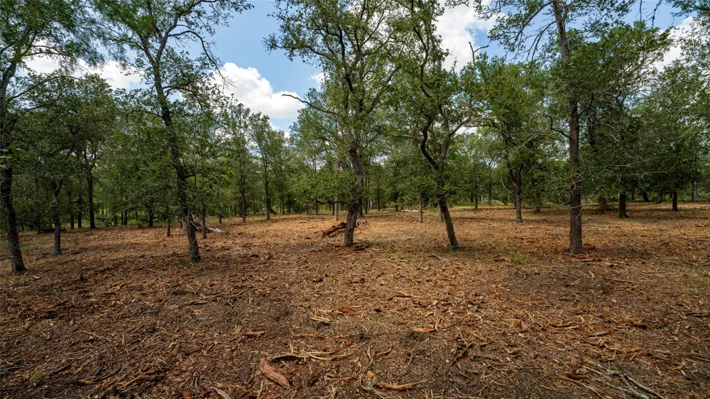 3980 Fm 3158 Dale, TX 78616
