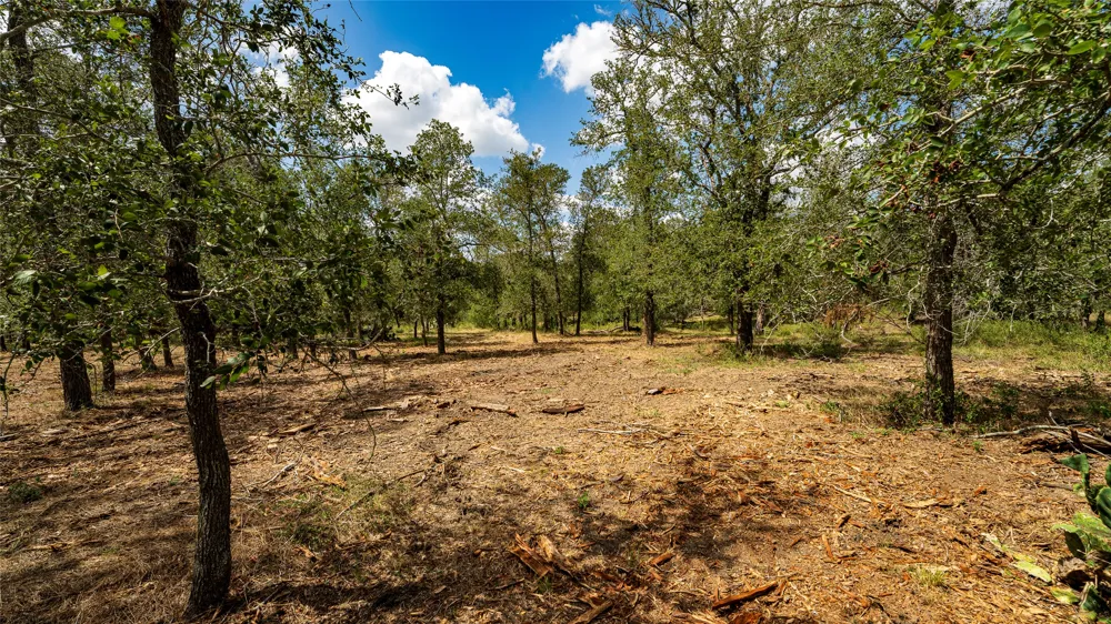 3980 Fm 3158 Dale, TX 78616