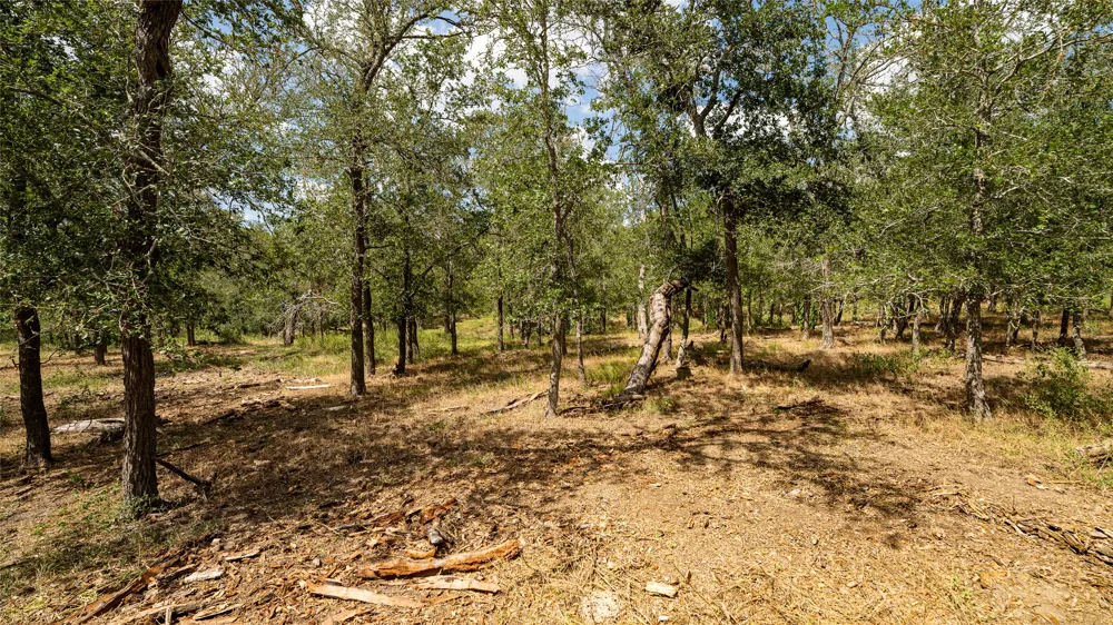3980 Fm 3158 Dale, TX 78616