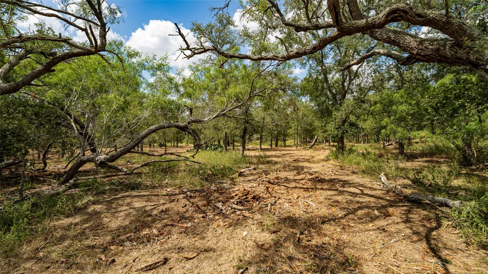 3980 Fm 3158 Dale, TX 78616