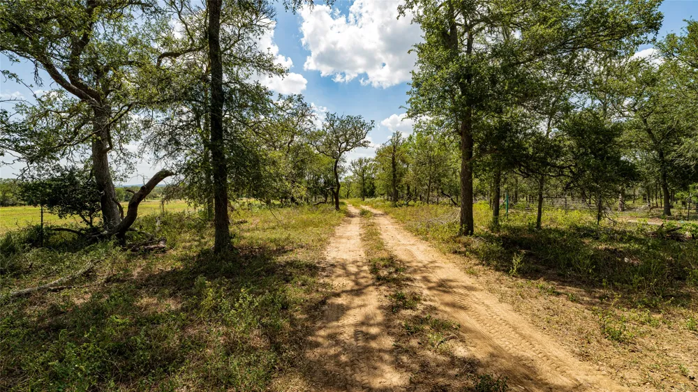3980 Fm 3158 Dale, TX 78616