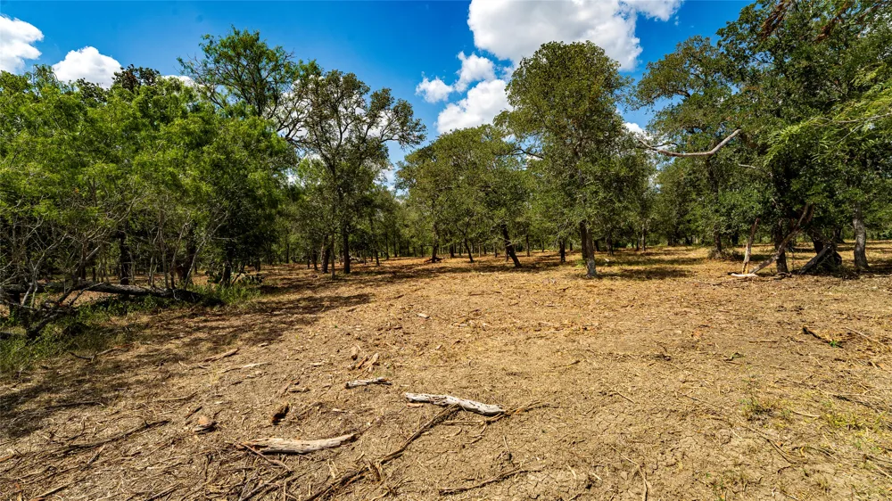 3980 Fm 3158 Dale, TX 78616