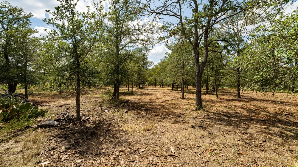 3980 Fm 3158 Dale, TX 78616