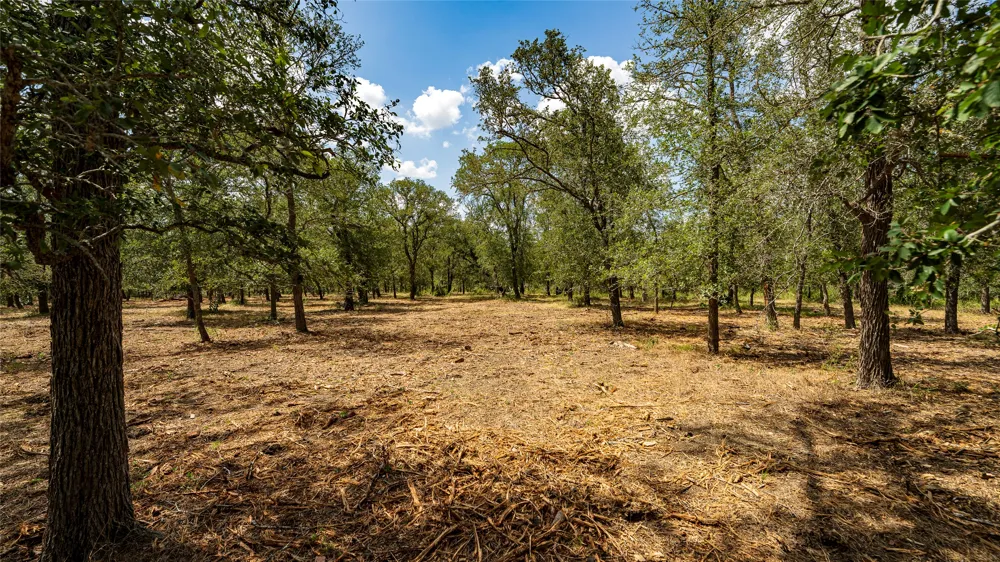 3980 Fm 3158 Dale, TX 78616
