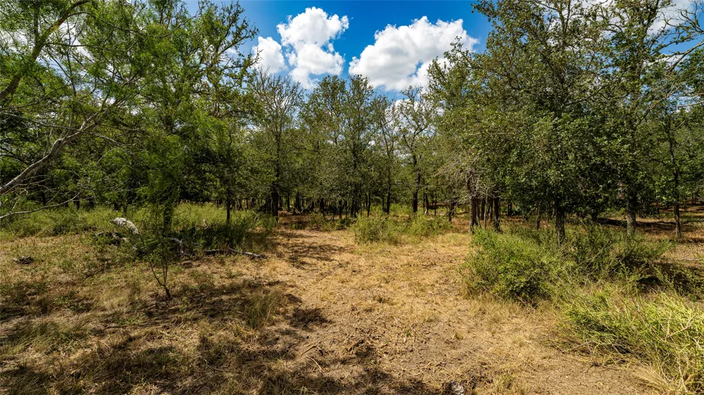 3980 Fm 3158 Dale, TX 78616
