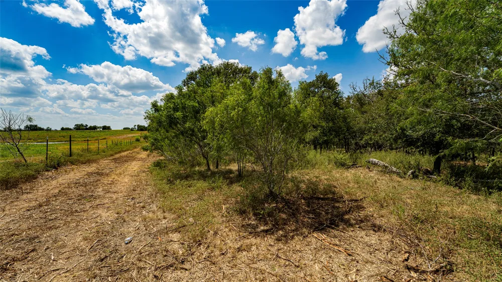 3980 Fm 3158 Dale, TX 78616