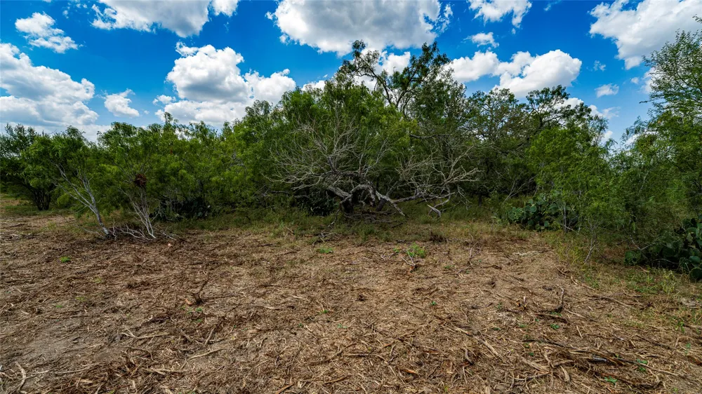 3980 Fm 3158 Dale, TX 78616
