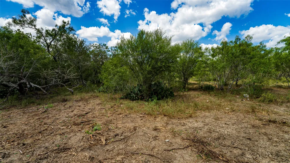 3980 Fm 3158 Dale, TX 78616