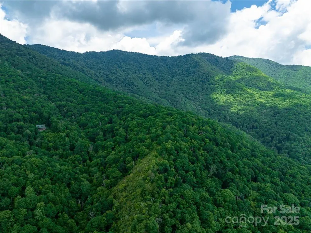 99999 Parris Branch Road #24a Sylva, NC 28799