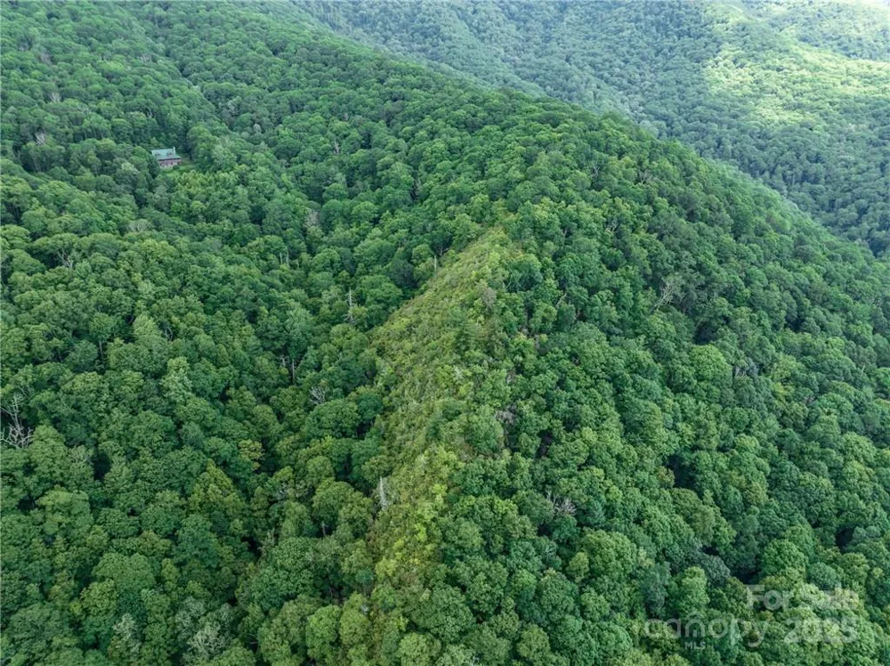 99999 Parris Branch Road #24a Sylva, NC 28799