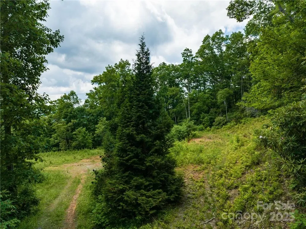 3867 Parris Branch Road #Tract B Sylva, NC 28779
