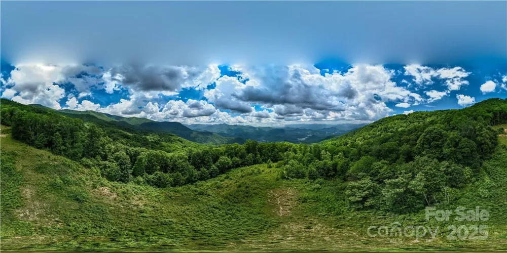 3867 Parris Branch Road #Tract B Sylva, NC 28779