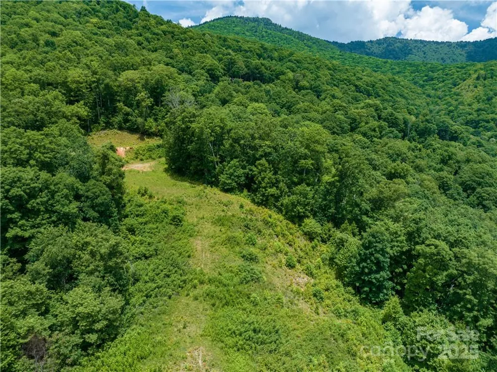 3867 Parris Branch Road #Tract B Sylva, NC 28779