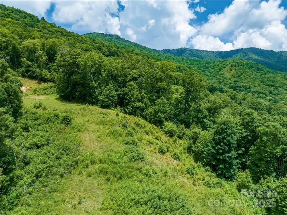 3867 Parris Branch Road #Tract B Sylva, NC 28779