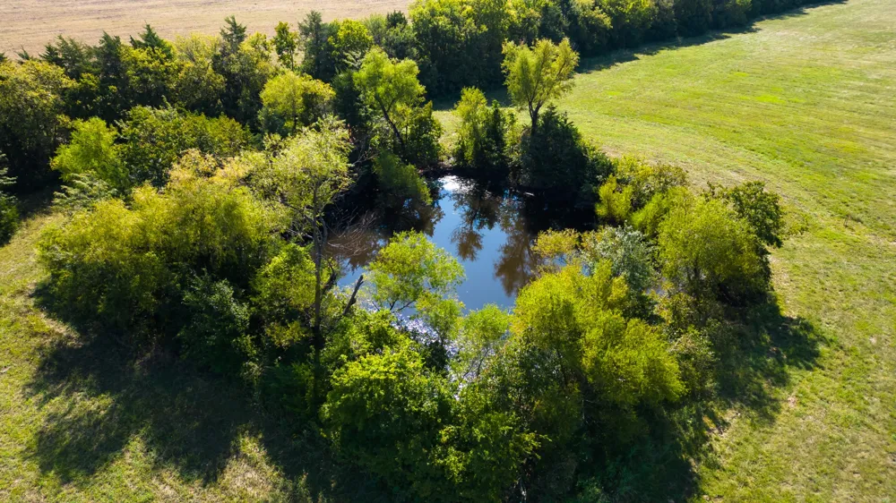 5484 Fm 1743 Windom, TX 75492