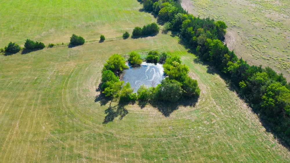 5484 Fm 1743 Windom, TX 75492